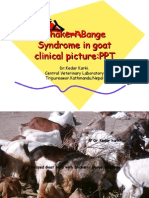 Dhakeri-Bange Syndrome in goat clinical picture:PPT