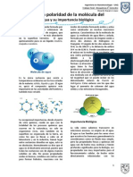 Trabajo Final Bioquimica