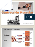 Contracción Muscular