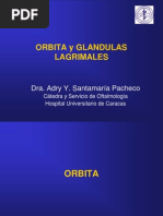 ORBITA Y GLANDULAS LAGRIMALES.ppt