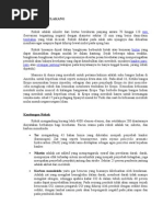 Download Creative Brief Stop Merokok by ang9a SN17429708 doc pdf