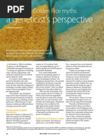 Download Rice Today Vol 12 No 4 Debunking Golden Rice myths a geneticists perspective by Rice Today SN174297940 doc pdf