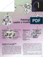 Capitulo 01. Patologia Celular I - Lesion y Muerte Celular