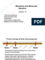 BIOL 205 Lecture 11 Handout