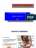 APARATO GENITALFEMENINOterminadototal