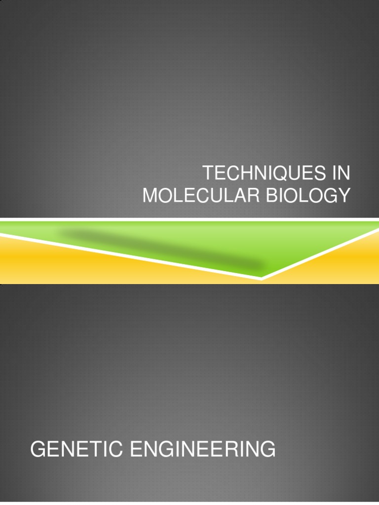 Molecular Biology Techniques Overview | PDF | Mass Spectrometry ...