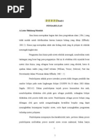 Download skripsi ana sma 6 padangdoc by Bacrit Cirutu SN174357367 doc pdf