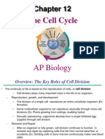 AP Bio Ch. 12 the Cell Cycle