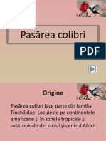 Pasarea Colibri