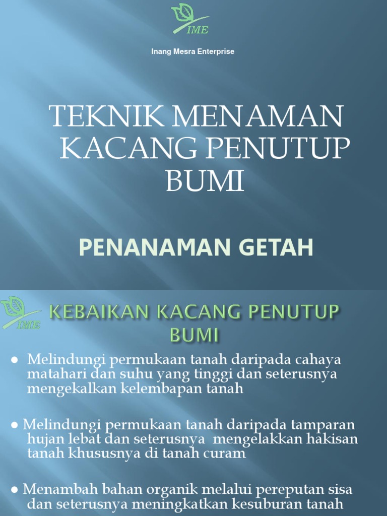 Teknik Menanam Kacang Penutup Bumi Pdf