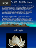 Download REPRODUKSI-TUMBUHAN-2ppt by andiriandikap SN174373839 doc pdf