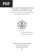 Download MAKALAH CTEV by Agoeng Hermawan Mawon SN174389359 doc pdf