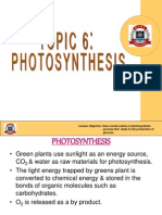 Photosynthesis