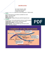 Dna Replication: Origins of Replication: Prokaryotes: Single, Eukaryotes: Multiple