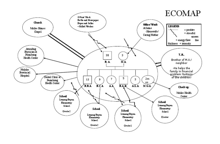 Family Ecomap Example for Nursing | PDF