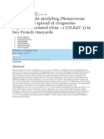 The Role of The Mealybug Phenacoccus Aceris in The Spread of Grapevine Leafroll-Associated Virus 1