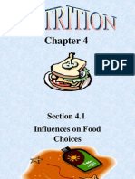 Chapter 4 - Nutritiron