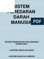 Sistem Peredaran Darah Manusia