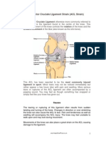 Anterior Cruciate Ligament Strain (ACL Strain) : Forward Movement of The Tibia (Also Known As The Shin Bone)