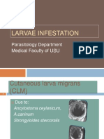 Larvae Infestation: Parasitology Department Medical Faculty of USU