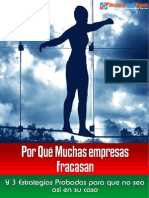 fracaso-pymes