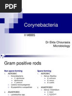 Corynebacteria: Ii Mbbs DR Ekta Chourasia Microbiology