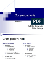 Corynebacteria: Ii Mbbs DR Ekta Chourasia Microbiology