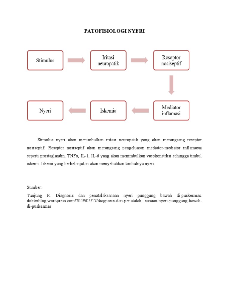 Patofisiologi Nyeri