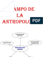 Campos de La Antropologia