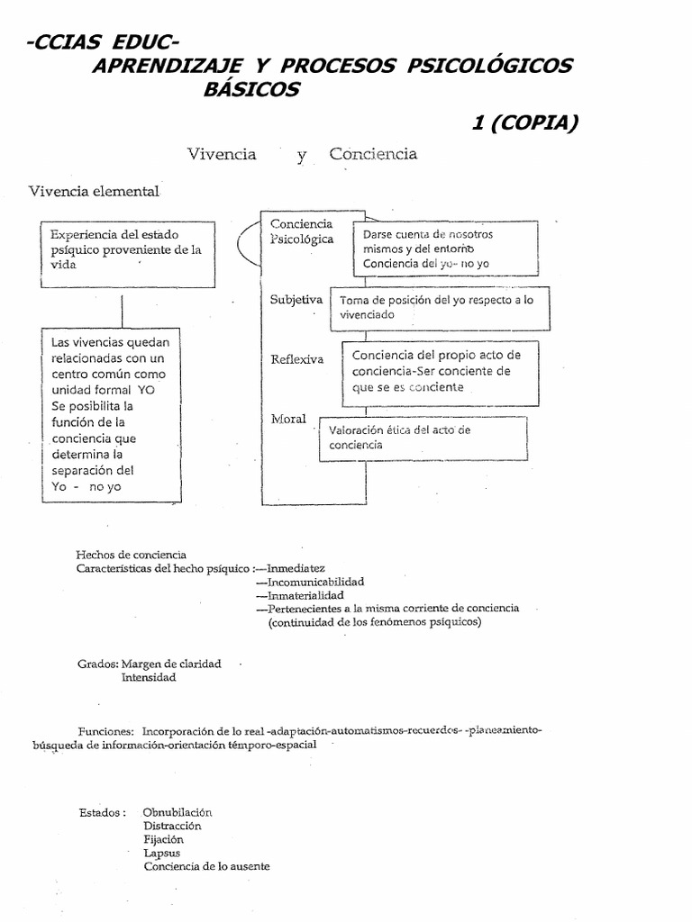 CATEDRA VivenciaYConvivencia Filmina APPB | PDF