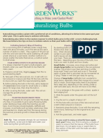 Bulbs - Naturalizing Bulbs