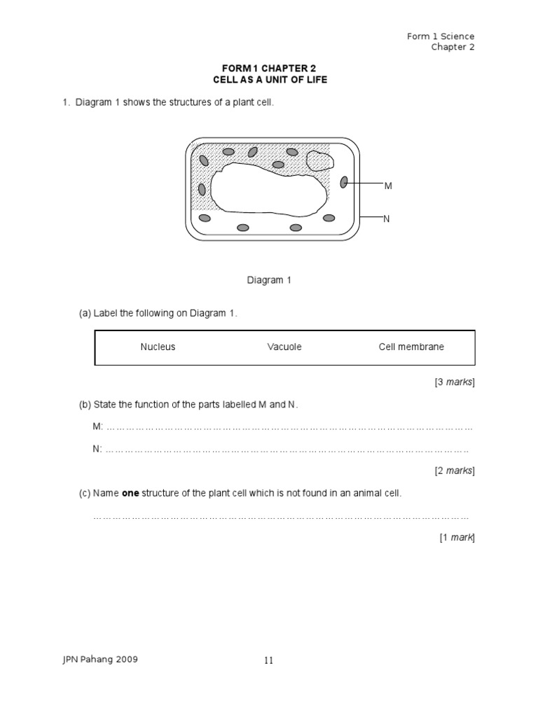 Chapter 2 Cell As A Unit of Life | PDF | Organ (Anatomy) | Cell (Biology)