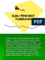 Ilmu Penyakit Tumbuhan