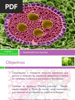 i Transportenasplantas 110419054117 Phpapp02