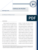 2013-05!18!181739 - Anatomia Funcional Do Plexo Braquial J Mauricio