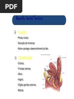 t Aparelho Genital Feminino