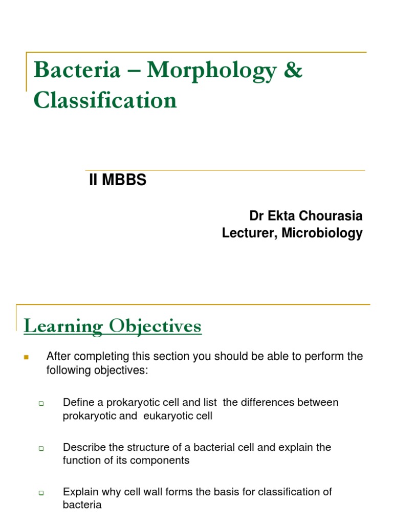 Bacterial Morphology and Classification | PDF | Bacteria | Cell (Biology)