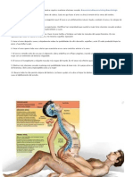 La fisiología de los tres cerebros humanos mientras copula