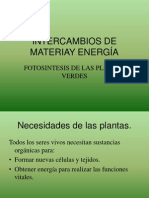 Intercambios de Materiay Energia Fotosintesis Sexto Basico