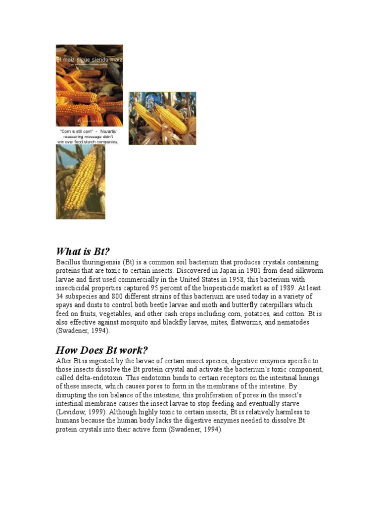 BT Crops | PDF
