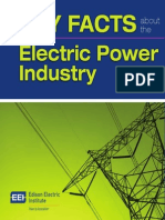 Key Facts About Electric Power Industry