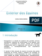 Exterior de Equinos