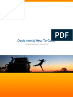 Oasis Montaj Complete Workflow PDF