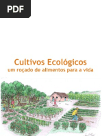 Cultivos Ecologicos - um roçado de alimentos para a vida