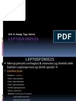 Leptospirosis PD Kucing