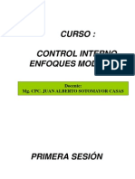 Control Interno-2009 Sotomayor