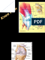 Knee Pain