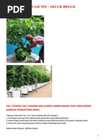 Download BUAH TIN - SELUK BELUKdocx by Agus Ws SN174685019 doc pdf