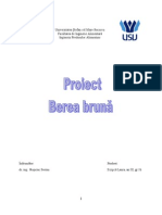Berea Proiect (Repaired)