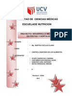 Proyecto Control Sanitario FRUTASYHORTALIZAS.hdocx